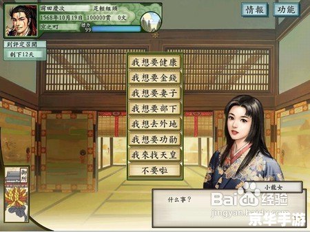 太阁立志传5剧本 **太阁立志传5：穿越历史的策略之旅**