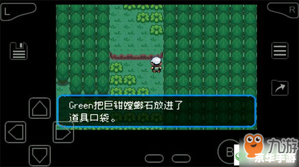**口袋妖怪绿金手指：探索、挑战与无尽的冒险**