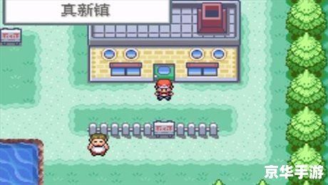 **口袋妖怪火红：重温经典，探索无限**