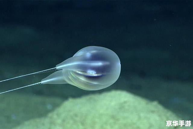 《寄生前夜3》：探索未知，决战寄生生物
