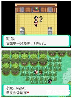 口袋妖怪黑攻略 口袋妖怪黑：探索、挑战与策略的全面攻略