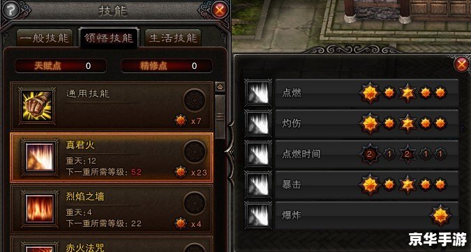 **斗战神罗刹风系加点策略**