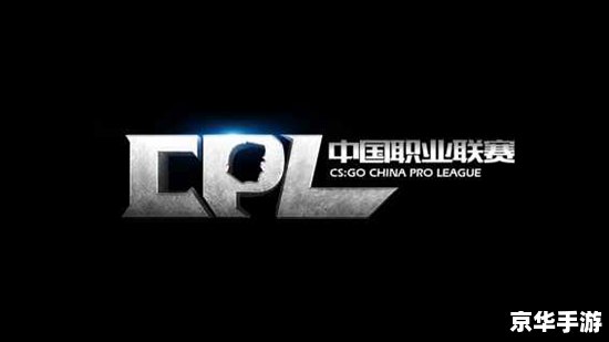 完美世界CSGO：探索竞技与团队合作的魅力