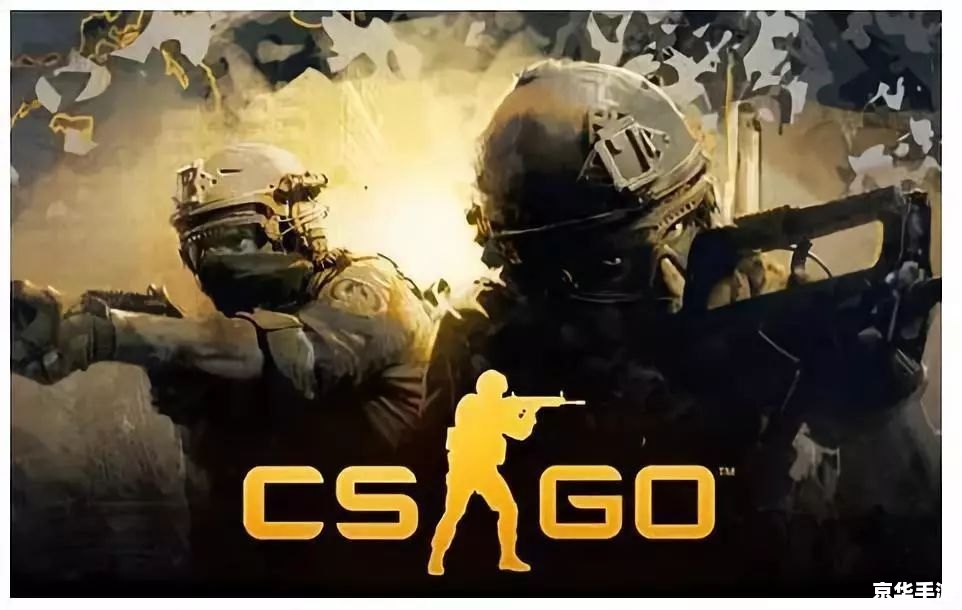 完美世界CSGO：探索竞技与团队合作的魅力