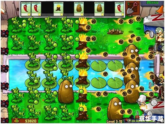 怎么用植物大战僵尸中文版 植物大战僵尸中文版的全面使用指南