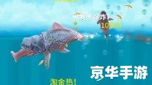 大鱼吃小鱼进化版：生存竞争的新篇章