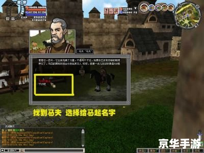 csol双开：游戏内外的双重挑战