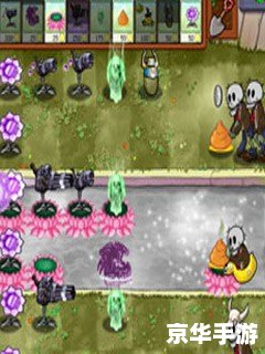植物大战僵尸2010：经典塔防游戏的魅力重现
