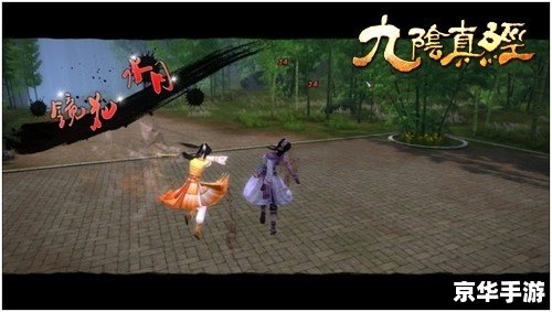 【深入解析】九阴真经君子堂三内任务：攻略与心得