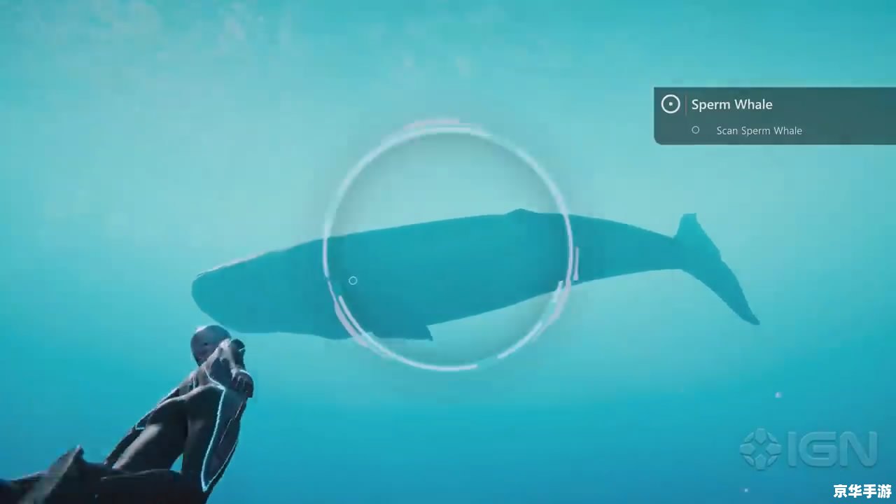 探秘深海，与海洋生物共舞——海底世界动态桌面游戏