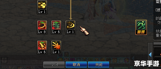 DNF柔道PK加点策略探讨