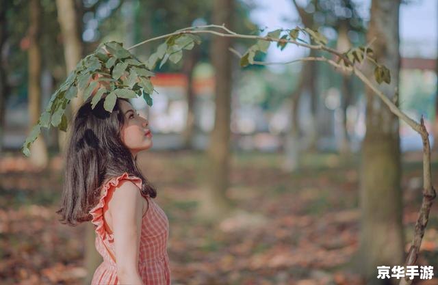 三国杀花色：游戏中的策略与心理博弈