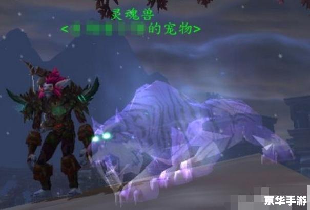 魔兽世界幽灵兽 **魔兽世界中的幽灵兽：魅力、挑战与收藏价值**