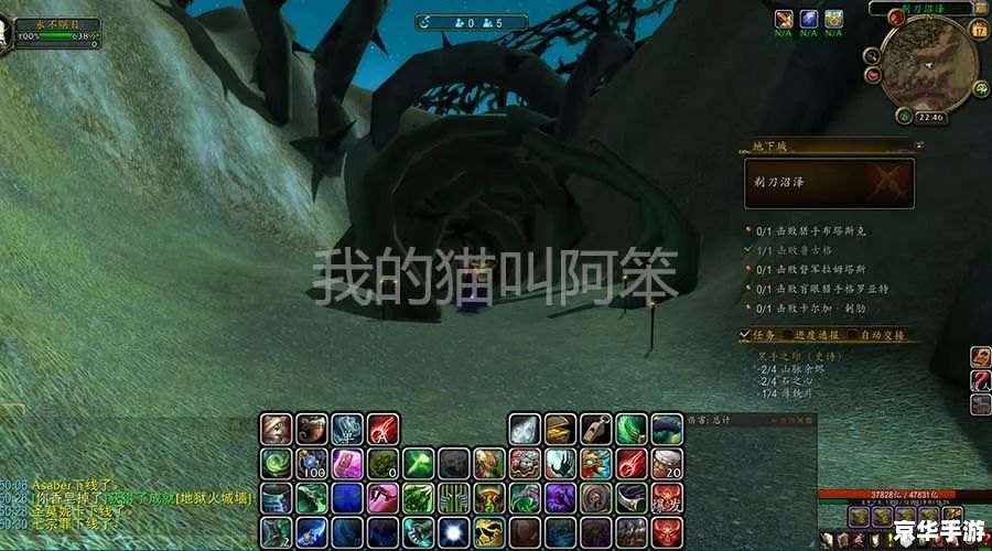 魔兽世界数据库：探索虚拟世界的无尽奥秘