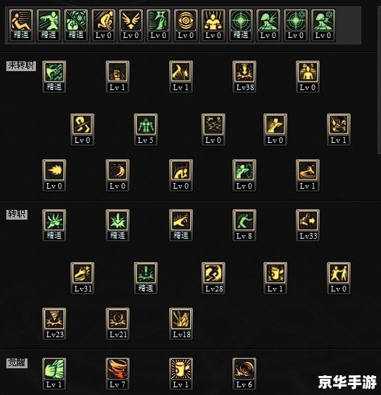 dnf毒王pk加点 毒王PK加点攻略：毒王职业特点与加点策略