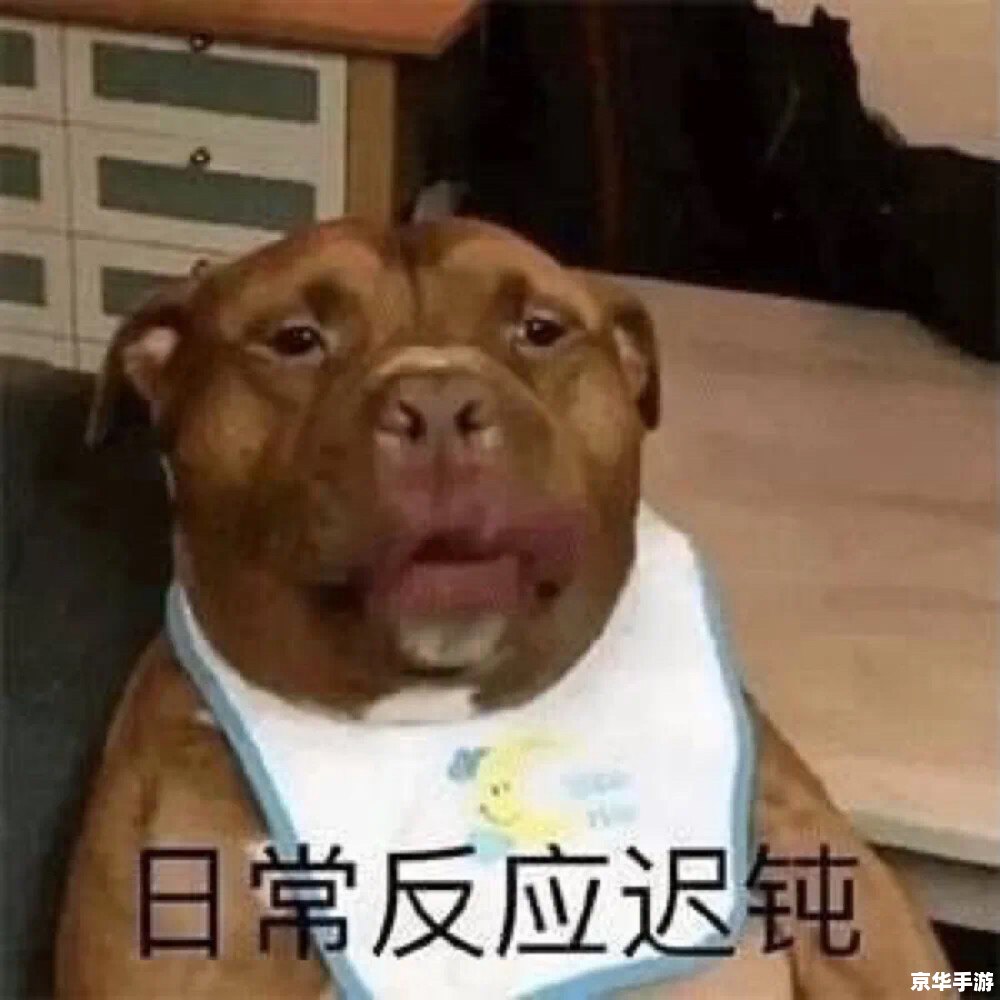 【探索与创造：我的世界1.5.2懒人包全新体验】