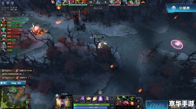 DOTA2假赛现象深度解析