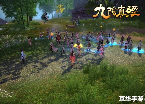 九阴真经唐门内功：江湖中的无敌秘籍
