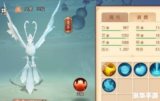 梦幻西游法宝宝怎么加点 梦幻西游法宝宝加点策略