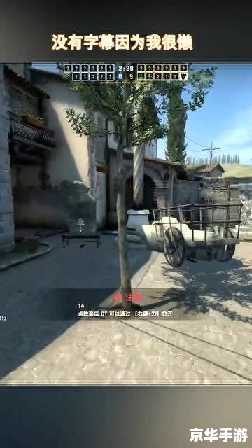 CSGO躲猫猫：一场策略与耐心的较量