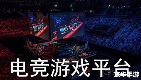 电竞世界第三季：探索游戏背后的精彩世界