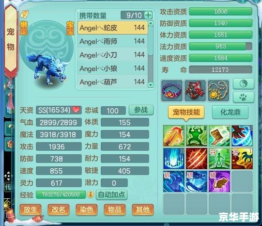 神武飞扬：探索江湖，书写传奇