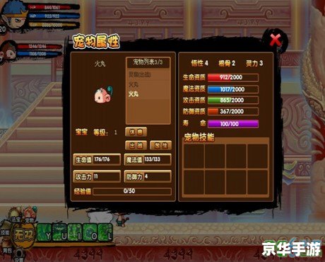 造梦西游3宠物装备怎么得 造梦西游3：宠物装备获取攻略