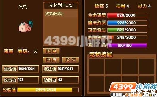 造梦西游3宠物装备怎么得 造梦西游3：宠物装备获取攻略
