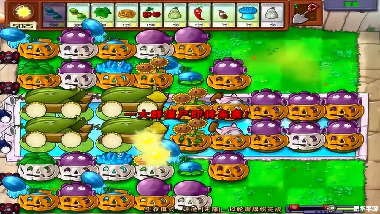 植物大战僵尸生存模式泳池无尽版 植物大战僵尸：泳池无尽版生存策略