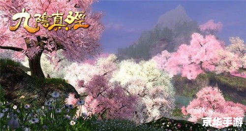 九阴真经怎么加入桃花岛 九阴真经：探寻桃花岛之谜
