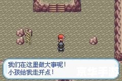【口袋妖怪之拳：掌中的竞技与策略】