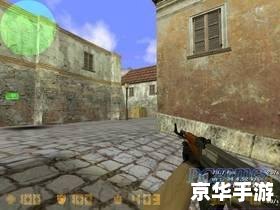 【反恐精英代码：游戏世界的战术与竞技】