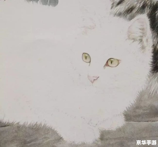 《英雄联盟手游连接超时问题深度解析》