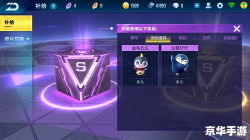 【QQ飞车赛车兑换符】揭秘：兑换符背后的极速世界