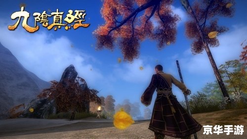 九阴真经 门派 【九阴真经门派探秘：武侠江湖的多元魅力】