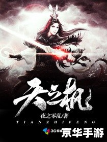完本的网游小说 终极虚拟征战：完本网游传奇