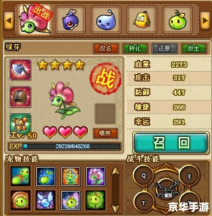 【弹弹堂65度力度表深度解析与实战应用】
