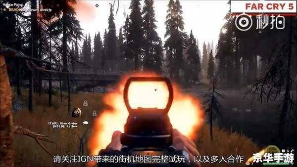 孤岛惊魂恐怖吗 孤岛惊魂：恐怖元素与游戏体验的深度解析