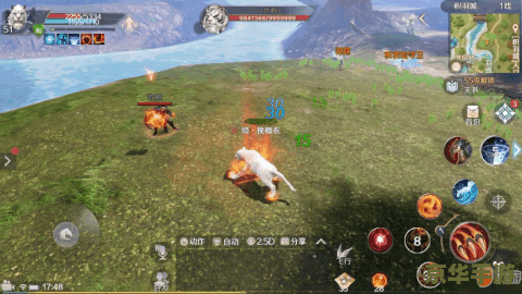 【新飞飞刺客加点攻略：掌握关键技能，成为无敌刺客】