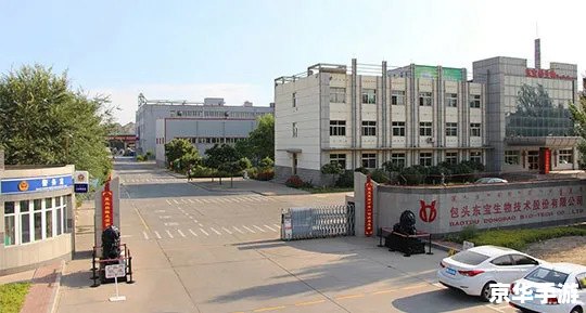 【洛克王国麋鹿】：探寻游戏中的神秘生物与丰富世界