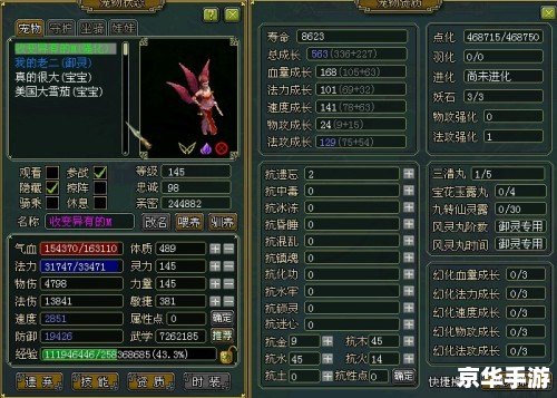 【问道宠物点化全解析】