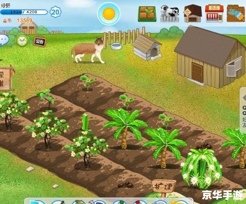 《QQ农场牧场偷匪最新版》：重温经典，体验农场乐趣