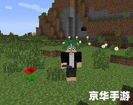 我的世界怎么换皮肤 【我的世界】皮肤更换全攻略：打造个性化游戏体验