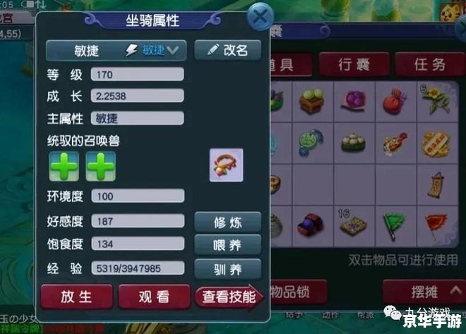 梦幻西游坐骑成长全解析