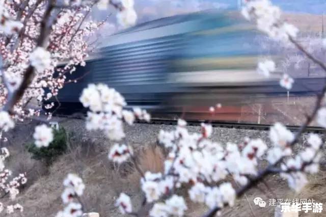 【重生之纵意花丛】—— 穿越花海，再续前缘
