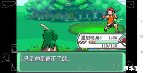 口袋妖怪绿宝石386攻略 【口袋妖怪绿宝石386全攻略：掌握妖怪、挑战与秘籍】