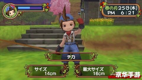 【PSP牧场物语蜜糖村金手指探秘：游戏内外的无尽乐趣】