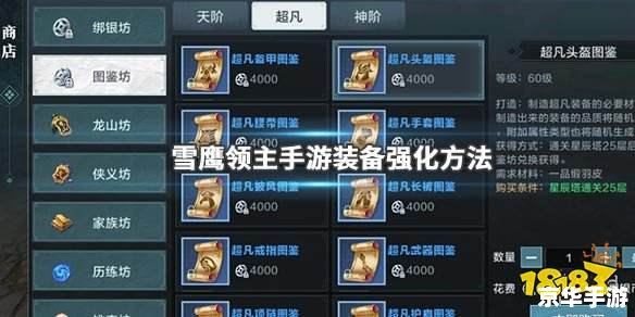 领主之塔装备探秘：打造无敌战力的关键