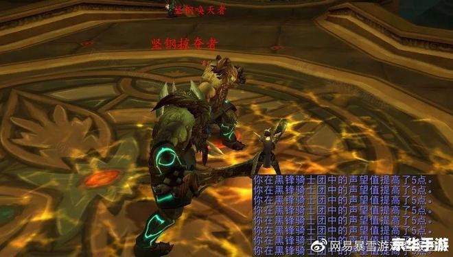 黑锋骑士团战袍：黑暗中的荣耀与力量