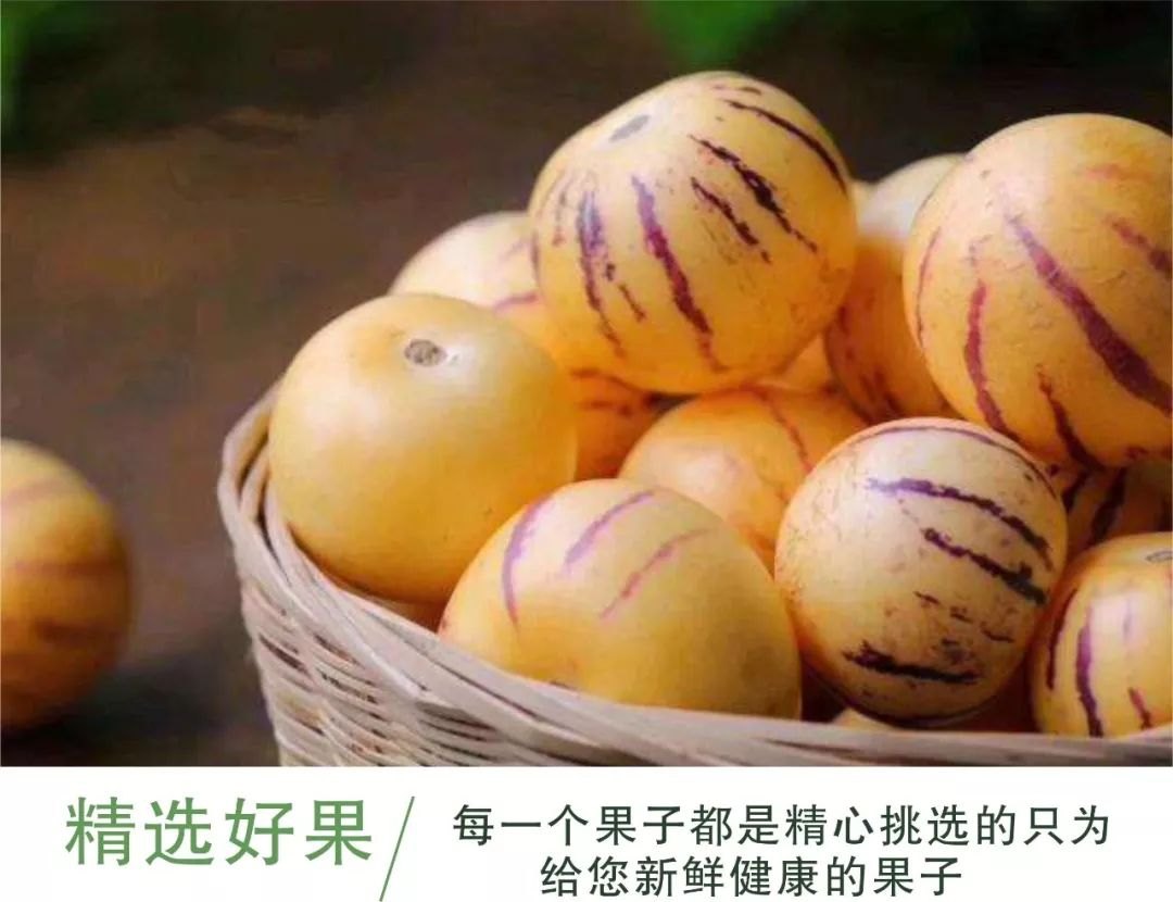 梦幻超级人参果：探寻神秘仙果的力量